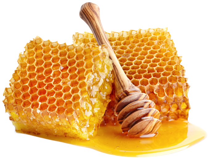 sweet honeycombs in honey